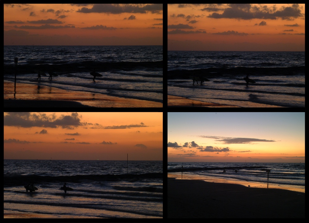 (02) dawn montage.jpg   (1000x720)   212 Kb                                    Click to display next picture